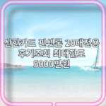 신한카드-핀셋론-20대전용-후기조회-최대한도-5000만원